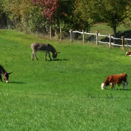 Casanuova Farmház Tizzano Val Parma
