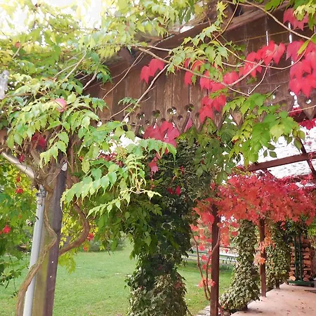 Lantgård Casanuova *