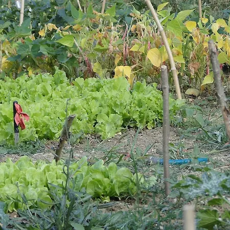 Lantgård Casanuova Tizzano Val Parma