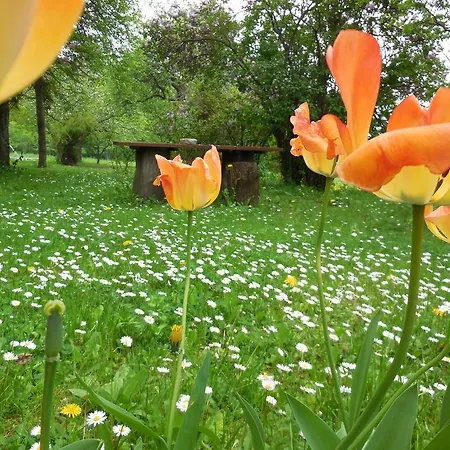 Κατάλυμα σε φάρμα Casanuova *