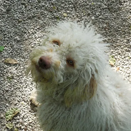 Κατάλυμα σε φάρμα Casanuova