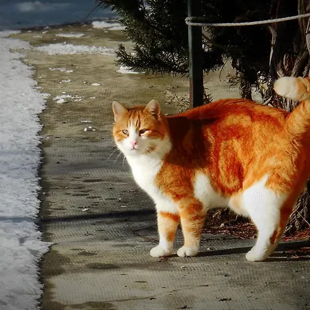 Casanuova Tizzano Val Parma