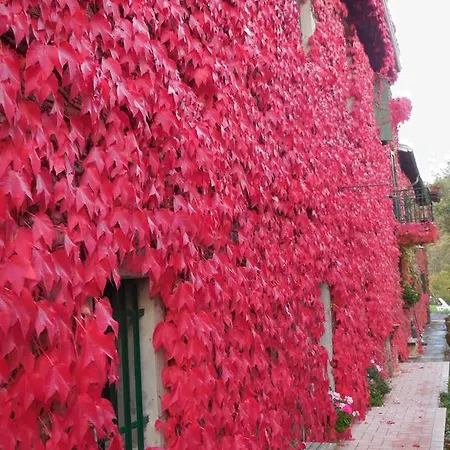 Κατάλυμα σε φάρμα Casanuova *