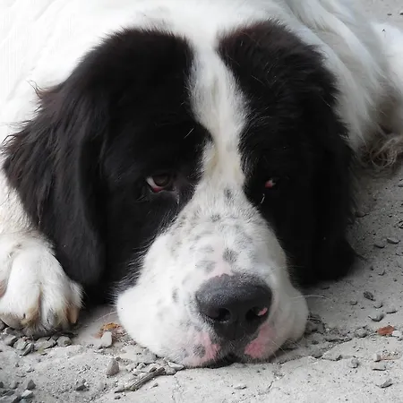 Casanuova Tizzano Val Parma