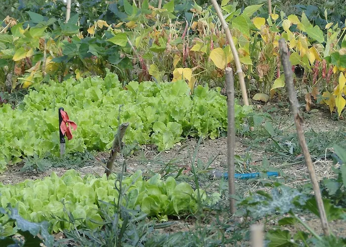 팜스테이 Casanuova Tizzano Val Parma