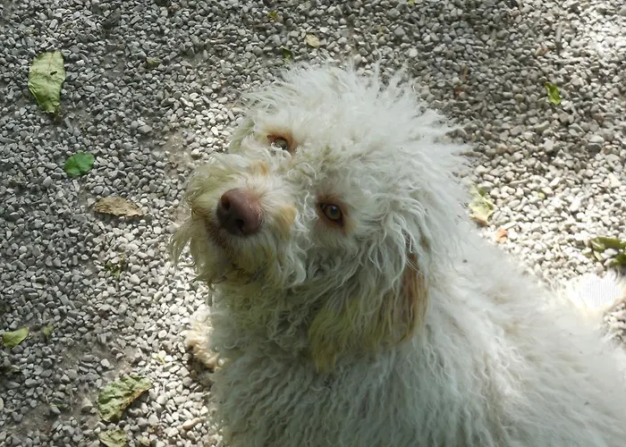 팜스테이 Casanuova