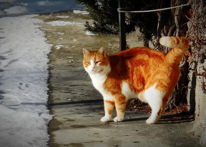 Casanuova Tizzano Val Parma