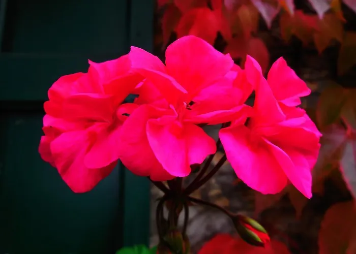 Vakantieboerderij Casanuova