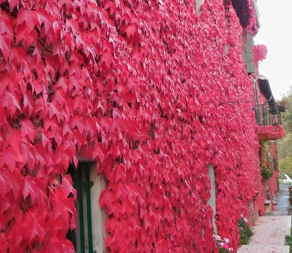 팜스테이 Casanuova *