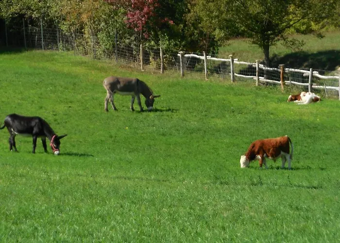 Casanuova Vakantieboerderij Tizzano Val Parma