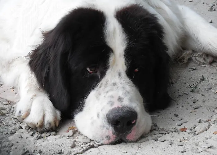 Casanuova Tizzano Val Parma