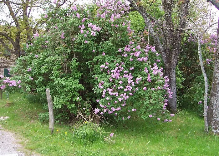 Vakantieboerderij Casanuova